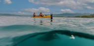 Kayaking - Seal Kayak Kaikoura image 5