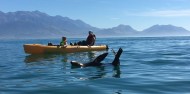 Kayaking - Seal Kayak Kaikoura image 3