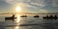 Kayaking - Seal Kayak Kaikoura image 5