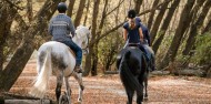 Horse Riding - Shotover River Trails image 6