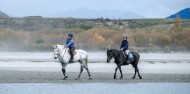 Horse Riding - Shotover River Trails image 4