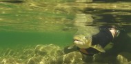 4WD Fly Fishing Experience - Queenstown Fishing image 4