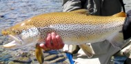 4WD Fly Fishing Experience - Queenstown Fishing image 7