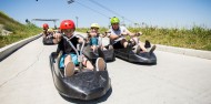 Jet Heli Luge Skyline Gondola - High Five image 5