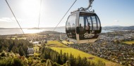 Skyline Rotorua - Half Day Adventure image 2