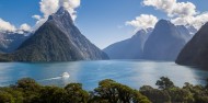 Small Group Milford Sound Coach Cruise Coach image 3