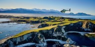 Whale Watching & Scenic Flights - South Pacific Helicopters image 2