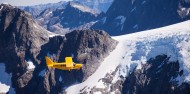 Milford Flight & Cruise - Southern Alps Air image 4