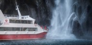 Milford Sound Boat Cruise & Underwater Observatory image 4