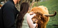 Spirit of Queenstown Cruise & Walter Peak Farm Tour image 1