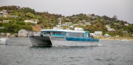 Ferry - Stewart Island image 3