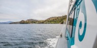Ferry - Stewart Island image 3