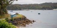 Rakiura For A Day - RealNZ image 4