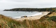 Guided Wilderness Walk image 9