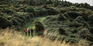 Guided Wilderness Walk image 7