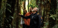Guided Wilderness Walk image 2