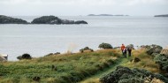 Guided Wilderness Walk image 3