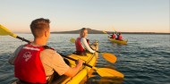 Kayaking - Rangitoto Island Sunset Tour image 6