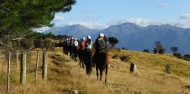 Horse Riding - Westray Horse Treks image 2