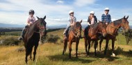 Horse Riding - Westray Horse Treks image 7