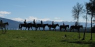 Horse Riding - Westray Horse Treks image 5