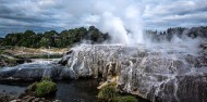 Geothermal & Dining Experience - Te Puia image 3