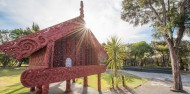 Geothermal Experience - Te Puia image 7