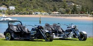 Thunder Trike Tours image 4