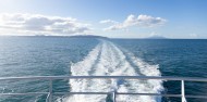 Ferry - Tiritiri Matangi Island image 6