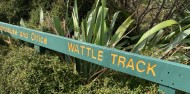 Ferry - Tiritiri Matangi Island image 10
