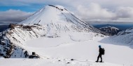 Guided Walks - Tongariro Crossing image 2