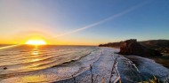 Piha Paradise Sightseeing Tour – Trippy image 1