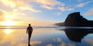 Piha Paradise Sightseeing Tour – Trippy image 7