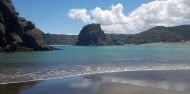 Auckland to Piha Shuttle Bus – Trippy image 5