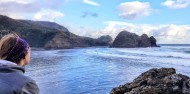 Auckland to Piha Shuttle Bus – Trippy image 2