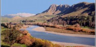 Hawkes Bay Scenic Tour image 1