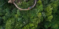 Ultimate Ziplining & Te Puia Combo image 4