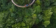 Ziplining - Ultimate Canopy Tour image 3