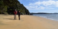Ulva Island Guided Walk – Rakiura Charters and Water Taxi image 5