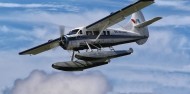 Scenic Flights - Volcanic Air image 1