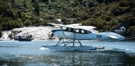 Scenic Flights - Volcanic Air image 4