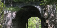 Lord of the Rings Tour - Capital Personalised Tours image 3