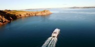 Ferry - Waiheke Island image 8