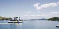 Ferry - Waiheke Island image 6