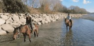 Horse Riding - Waimak River Riding Centre image 5