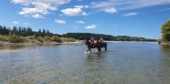 Horse Riding - Waimak River Riding Centre image 1