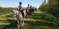 Horse Riding - Fantail River Ride image 5
