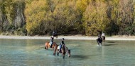 Horse Riding - Fantail River Ride image 1