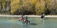 Horse Riding - Waimak River Riding Centre image 6