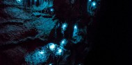 Waitomo Glowworm Caves Day Tour image 4